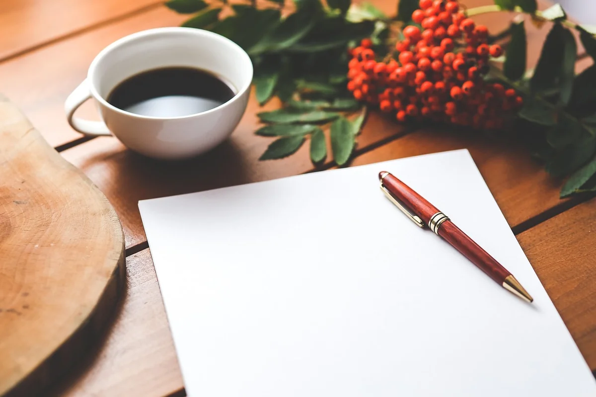 SEO on-page vs SEO off-page : découvrez leurs différences et synergies en 2026